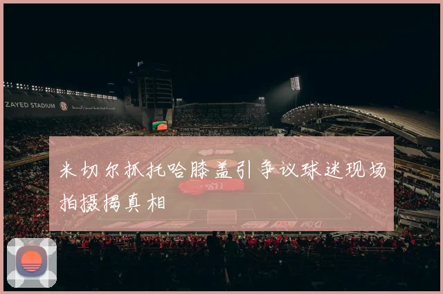 米切尔抓托哈膝盖引争议球迷现场拍摄揭真相